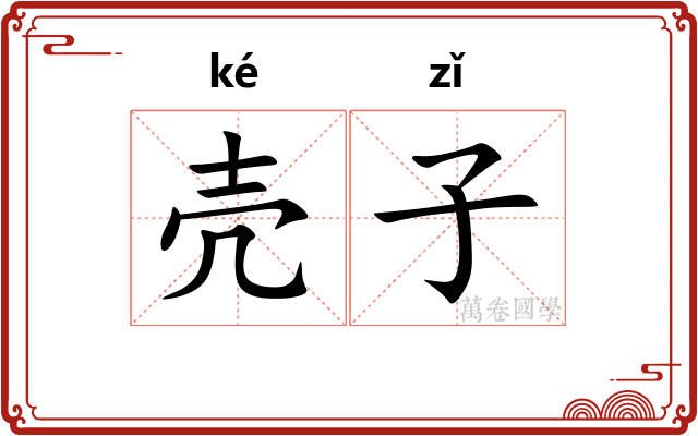 壳子 壳子