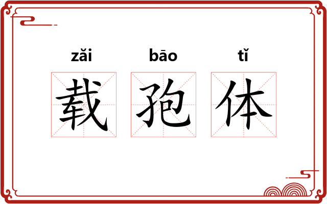 载孢体