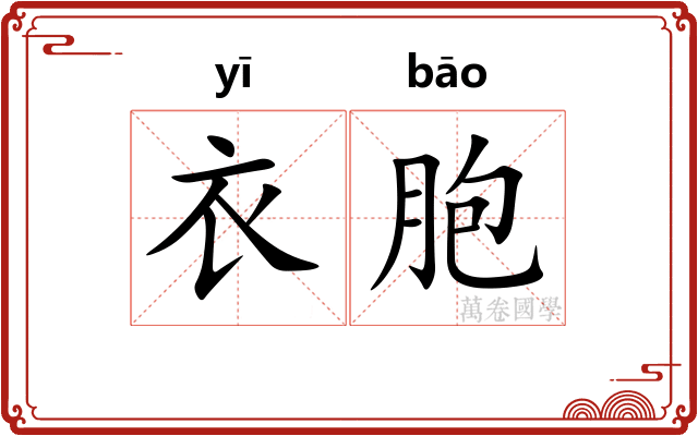 衣胞