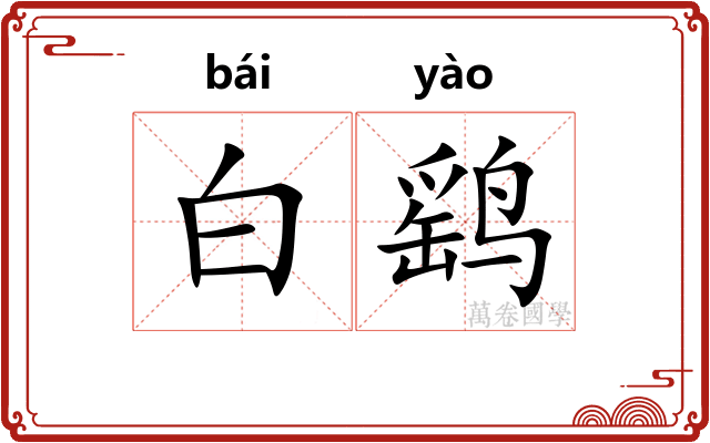 白鹞