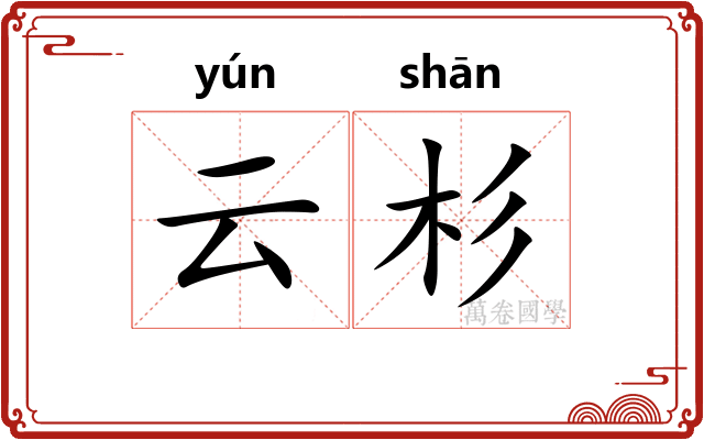 云杉