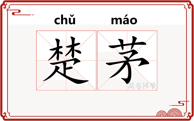 楚茅