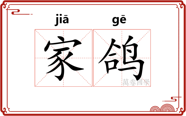 家鸽