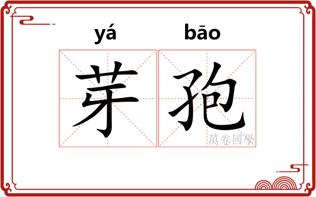 芽孢