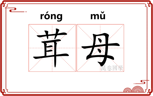 茸母