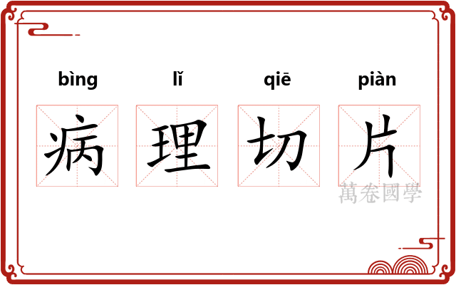 病理切片
