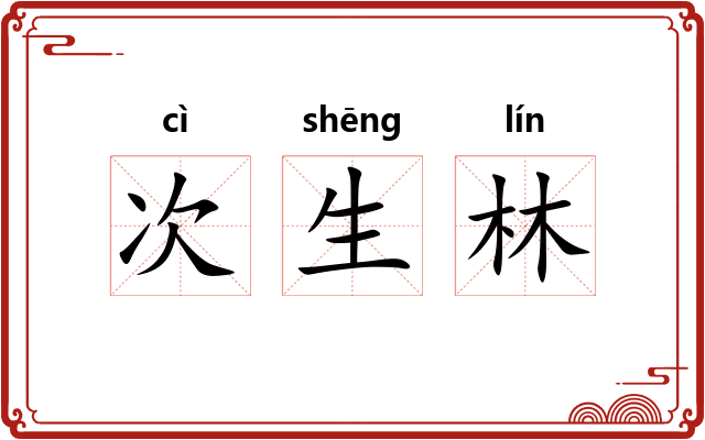 次生林