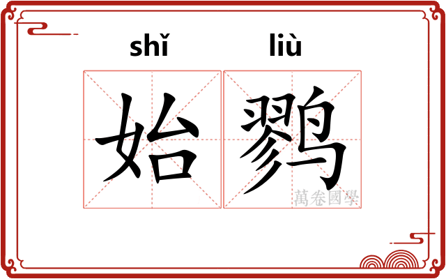 始鹨