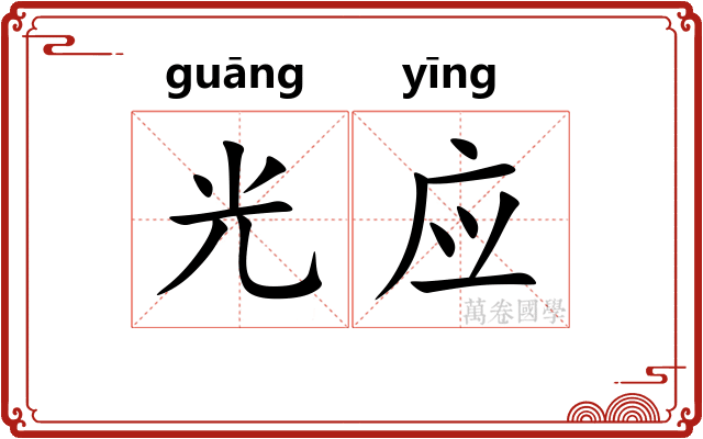 光应