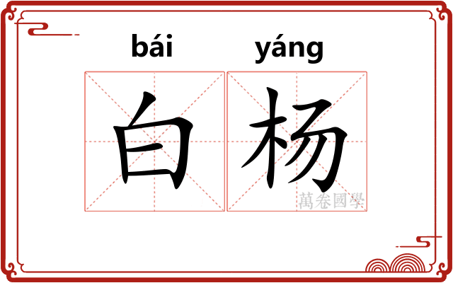 白杨 白杨