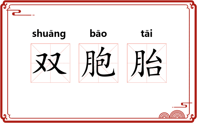 双胞胎