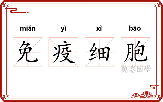 免疫细胞
