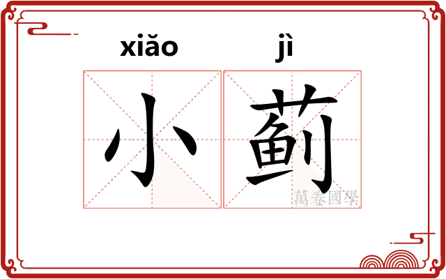 小蓟