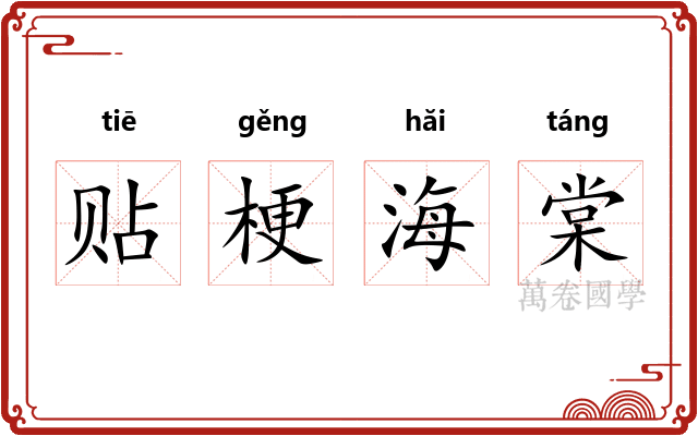 贴梗海棠