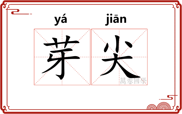 芽尖