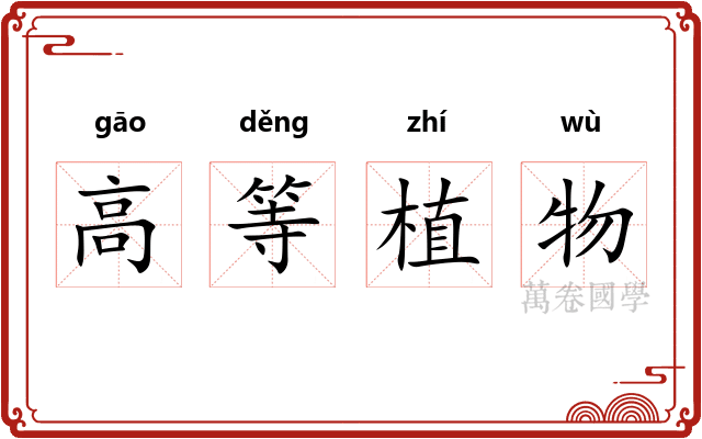 高等植物