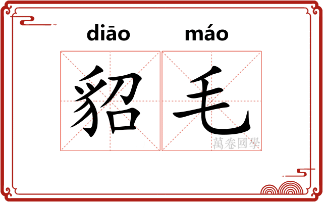 貂毛
