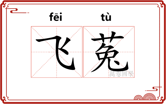 飞菟