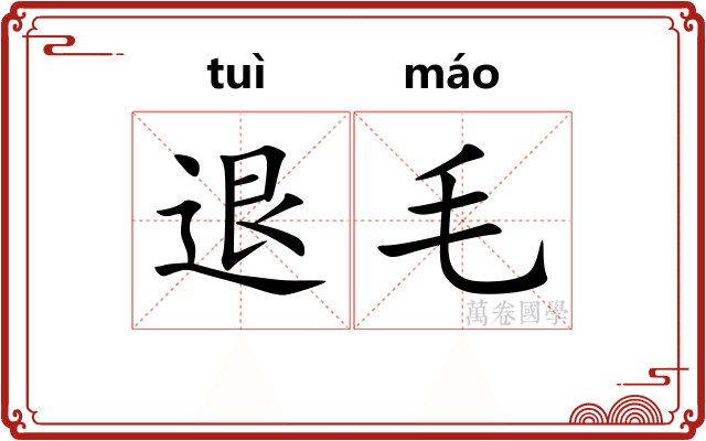 退毛 退毛