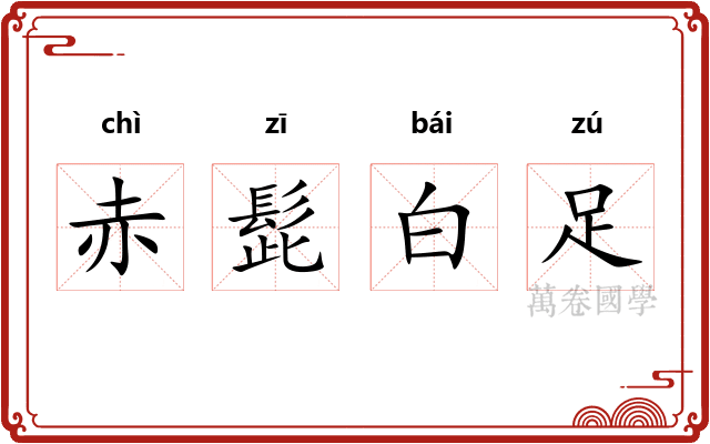 赤髭白足