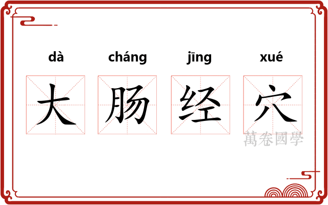 大肠经穴 大肠经穴
