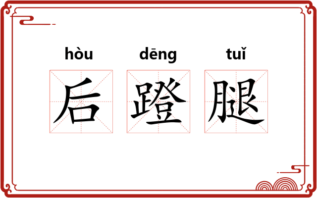 后蹬腿