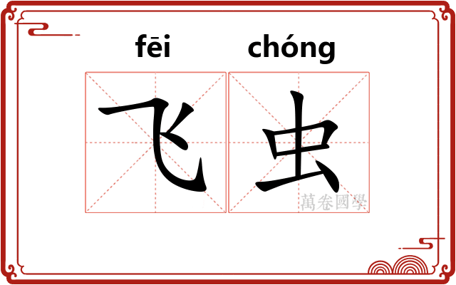 飞虫