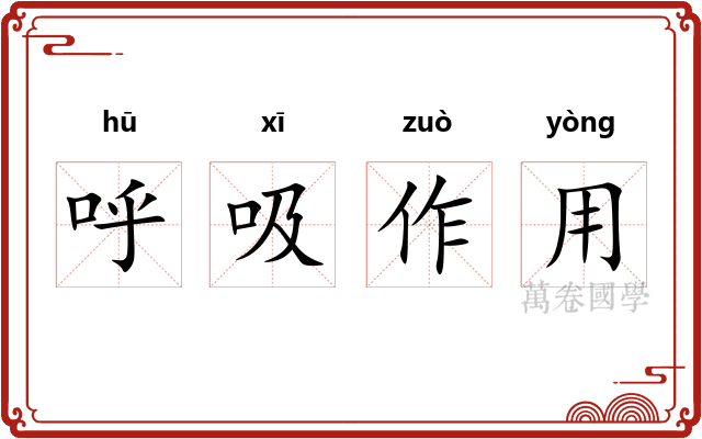 呼吸作用