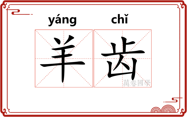 羊齿 羊齿