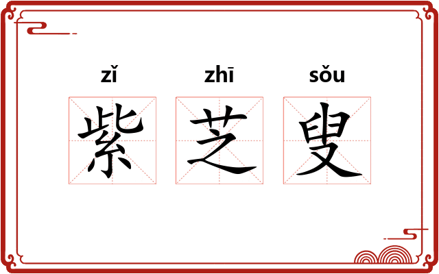 紫芝叟