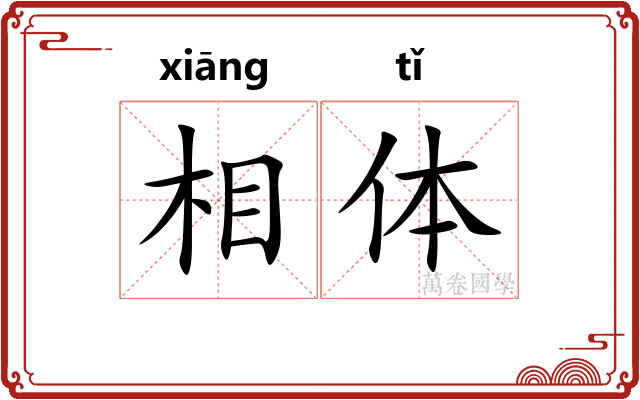 相体