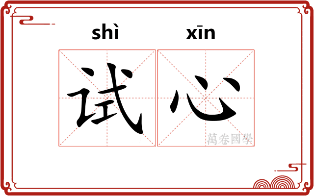 试心