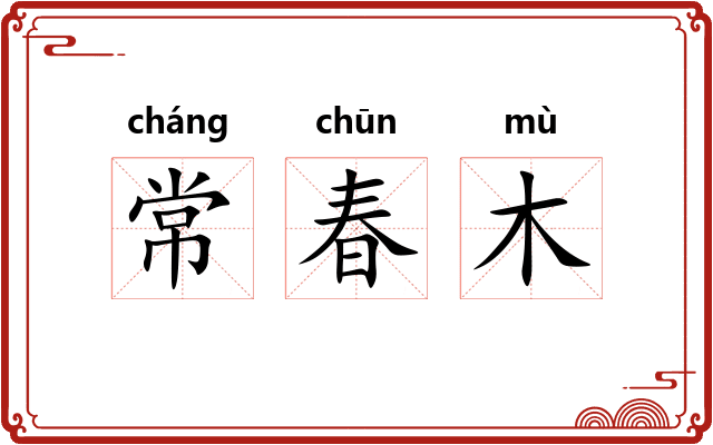 常春木