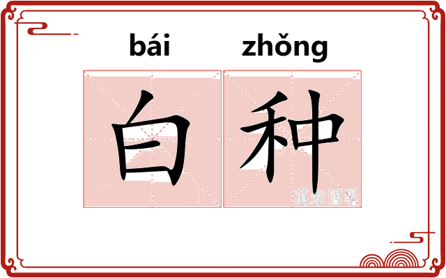 白种 白种