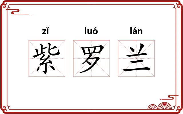 紫罗兰 紫罗兰
