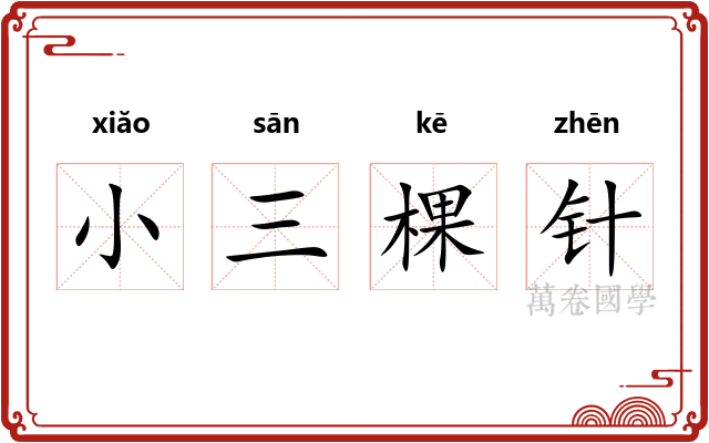 小三棵针 小三棵针