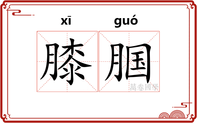 膝腘