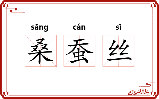 桑蚕丝