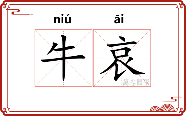 牛哀