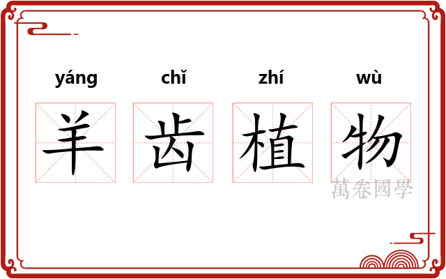 羊齿植物