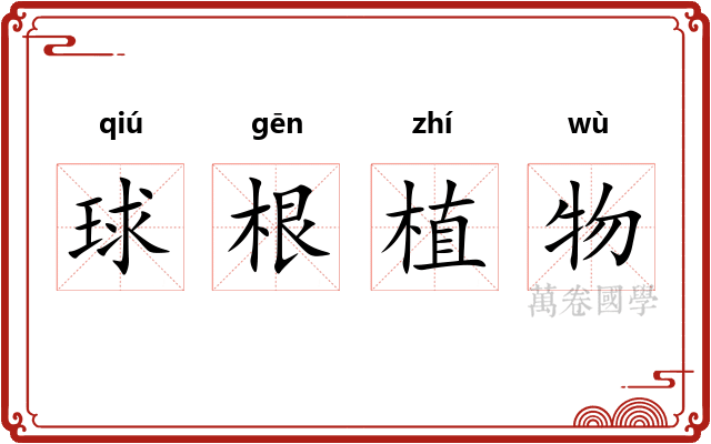 球根植物