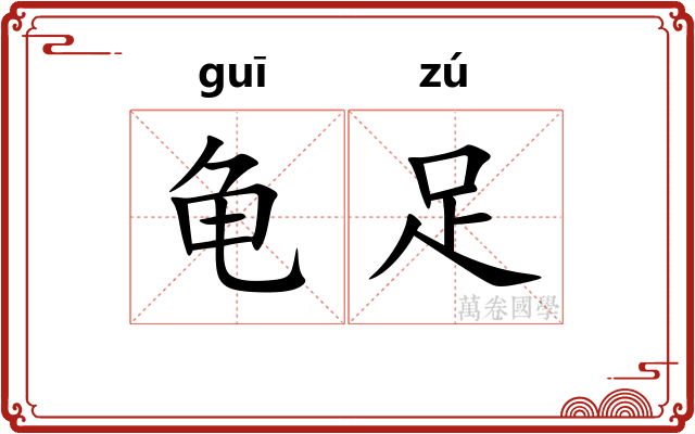 龟足 龟足