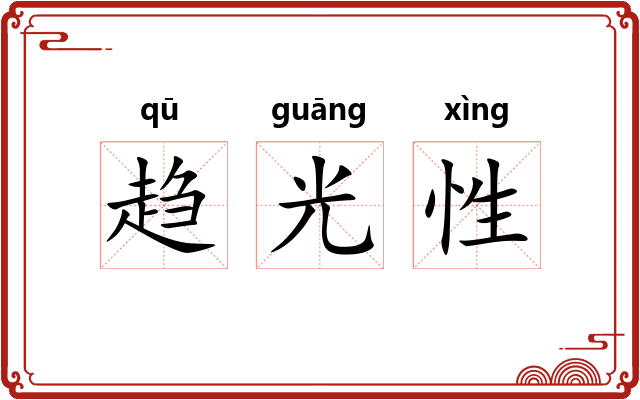 趋光性
