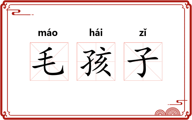 毛孩子