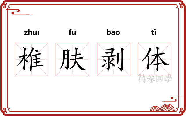 椎肤剥体
