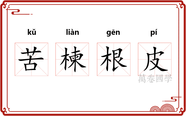 苦楝根皮