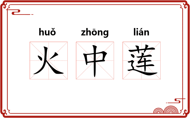 火中莲 火中莲