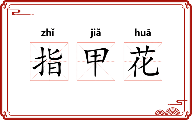 指甲花 指甲花