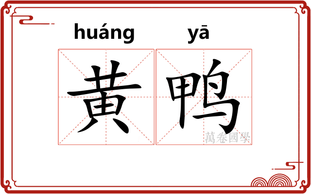 黄鸭