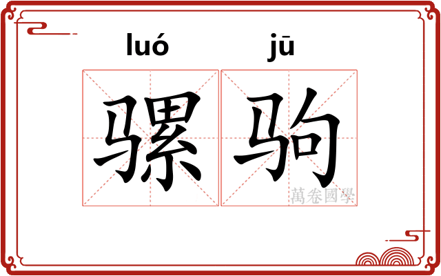骡驹